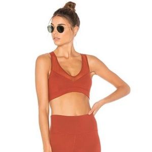 Alo Yoga Entice Mesh Cross Back Bra in Amber